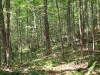 Northern Red Horse Trail